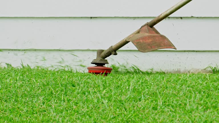 Best Lawn Watering Services  in Wausau, WI